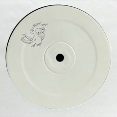 DIRTYBIRD RADIO