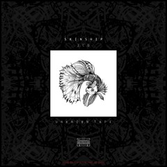 ICD - SKINSHIP (Original Mix)