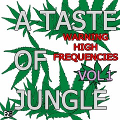 A Taste Of Jungle VOL 1