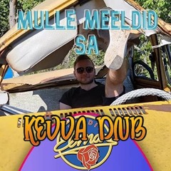 PAJU X MIXU X TROBIKOND - MULLE MEELDID SA (DNB)