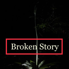Broken Story
