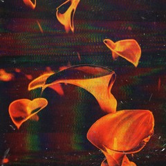 Track 4 - Petrichor