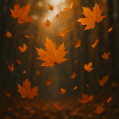 The leaves are falling