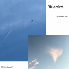Bluebird (pollenbed flip)