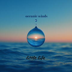 Oceanic Winds - Little Life