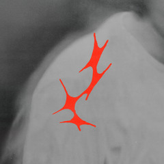 cut away