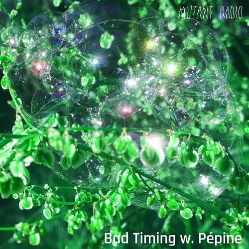 Bad Timing w/ Pépine [27.06.24]