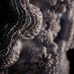 << 𝕋𝕣𝕚𝕓𝕒𝕝 𝔻𝕠𝕨𝕟𝕥𝕖𝕞𝕡𝕠 | 𝔻𝕟𝔹 >>