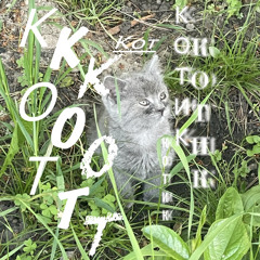 KITTTTYYYYYY!!!