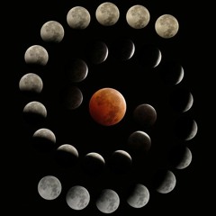 MOONSHINE