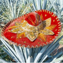 TEQUILA SIN AGUA
