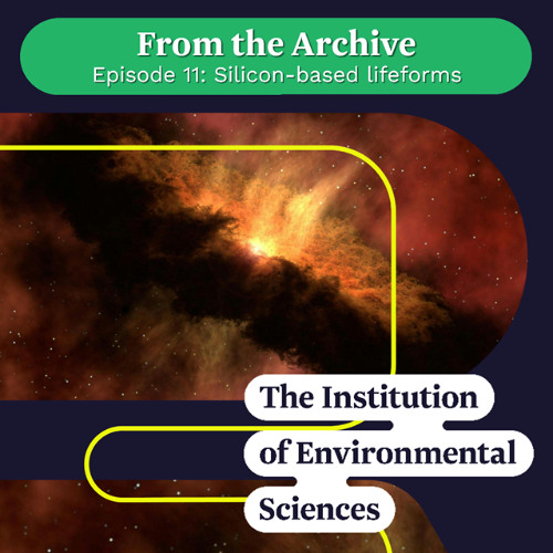 From the Archive 11 - Silicon-based Life