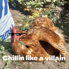 gala-gala: Cause no one chills harder than potato