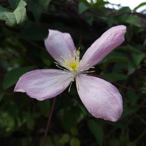 Heart by McGregs.mp3