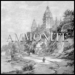 ammonite