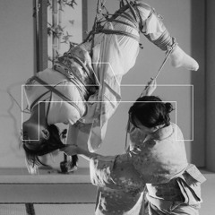 BODI shibari