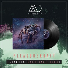 Pleasurekraft - Tarantula (Jaden Raxel Remix) [Free Download]