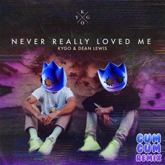Kygo ft. Dean Lewis – Never Really Loved Me (Gum Gum Remix)