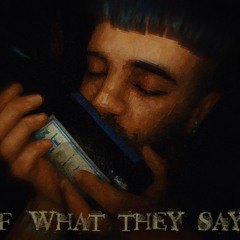 El Santo - F what they say // Haus33