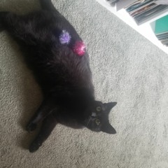 FNOOB 019 - Abuse your confusion 05/23