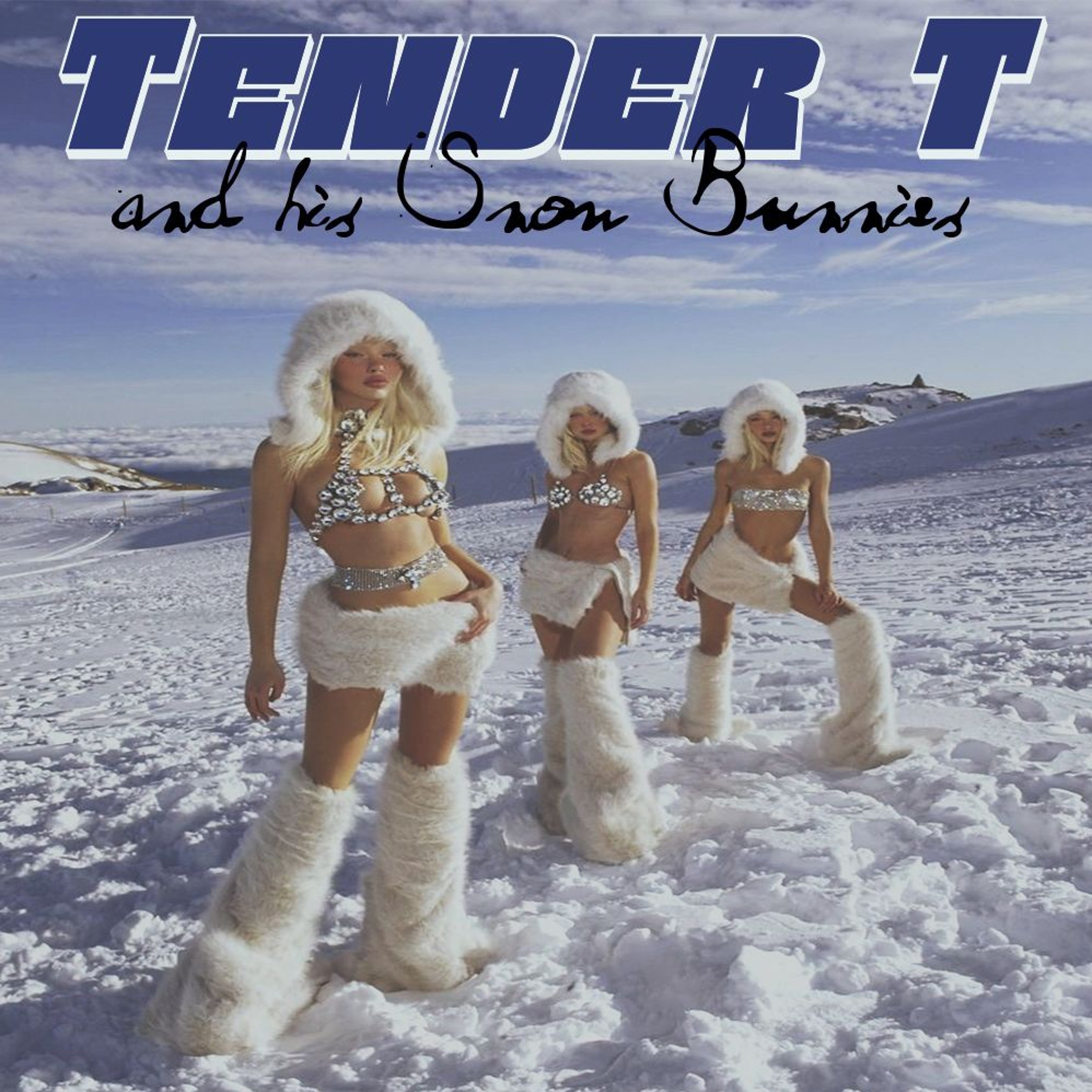 Tender T And His Snow Bunnies episode artwork