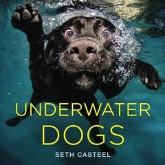 [Get] [EPUB KINDLE PDF EBOOK] Underwater Dogs by  Seth Casteel 🗸