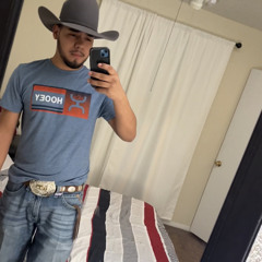 los indomables de cedral parte 2