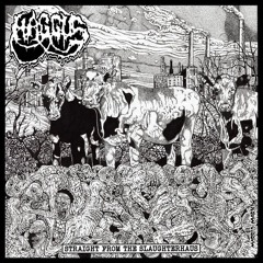 An Epitaph For Mankind - Haggus