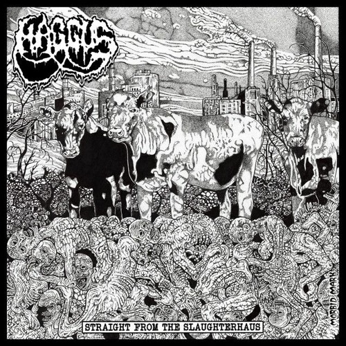 An Epitaph For Mankind - Haggus