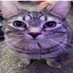 trent reznor hat mario kart gespielt