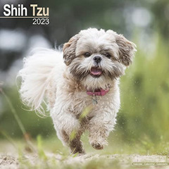 [DOWNLOAD] EBOOK 📒 Shih Tzu Calendar - Dog Breed Calendars - 2022 - 2023 wall calend