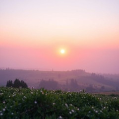 Sonnenaufgang Gefühle