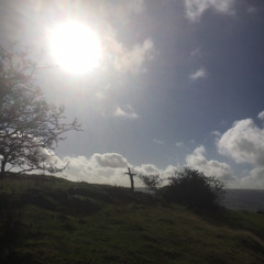 the wisdom of solomon