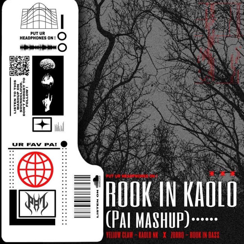 ROOK IN KAOLO (Pai mashup)