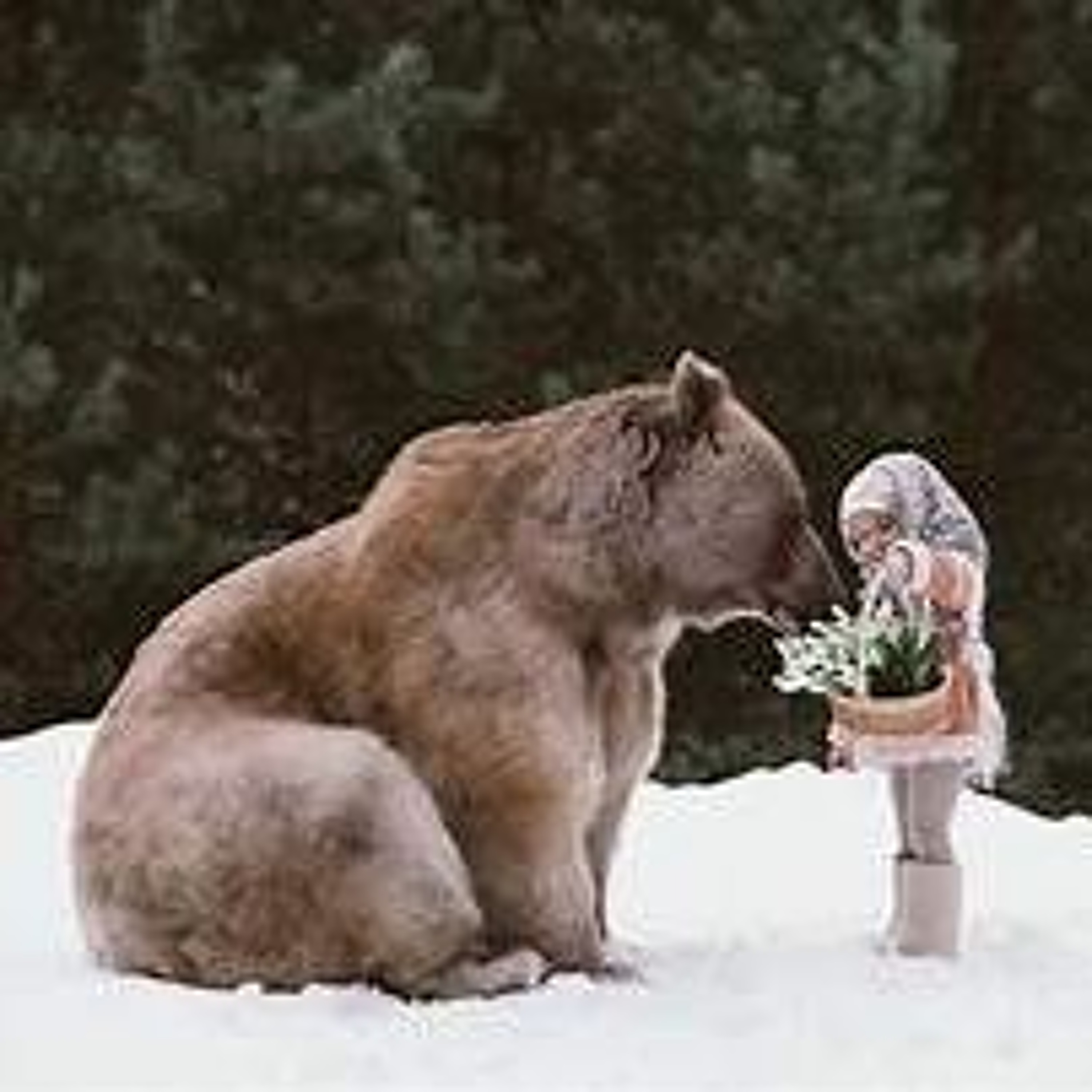 Wild calls the heart... episode artwork