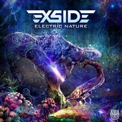 X-Side - Electric Nature (Full Track)