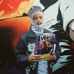 Veeze - Picasso (Veeze Only)