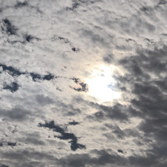 تدري حبيبي بغيبتك ما تسوى دنياي💔