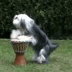 STBB#708 Animal Sounds Week Hosted by per.du