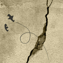FLY (ANVX)