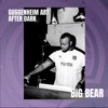 GUGGENHEIM ART AFTER DARK MIX: BIG BEAR (CLLCTV.US)