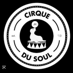 Cirque Du Soul Mix