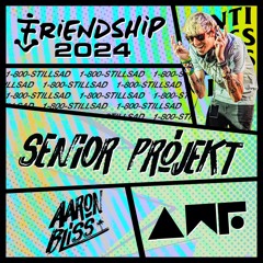 Senior Projekt: Aaron Bliss