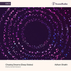 Chasing Dreams (Deep States), Pt. 3 (Instrumental)