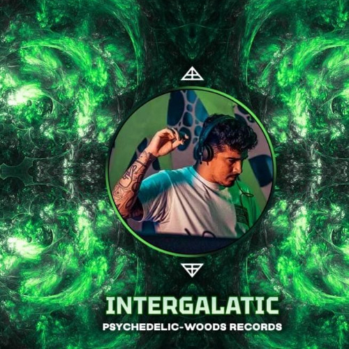 Intergalatic - Live ( Psychedelic-Woods )