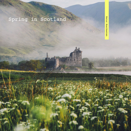 Spring in Scotland