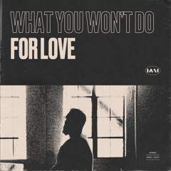 What You Won't Do For Love