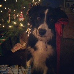 co wiesz o miłości? (widzę cię) (Prod. tvdanger)