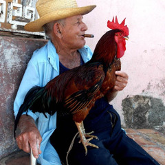 Buenas vibras latinas