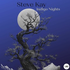 𝐏𝐑𝐄𝐌𝐈𝐄𝐑𝐄: Steve Kay - Indigo Nights (City Lights Mix) [Camel VIP Records]